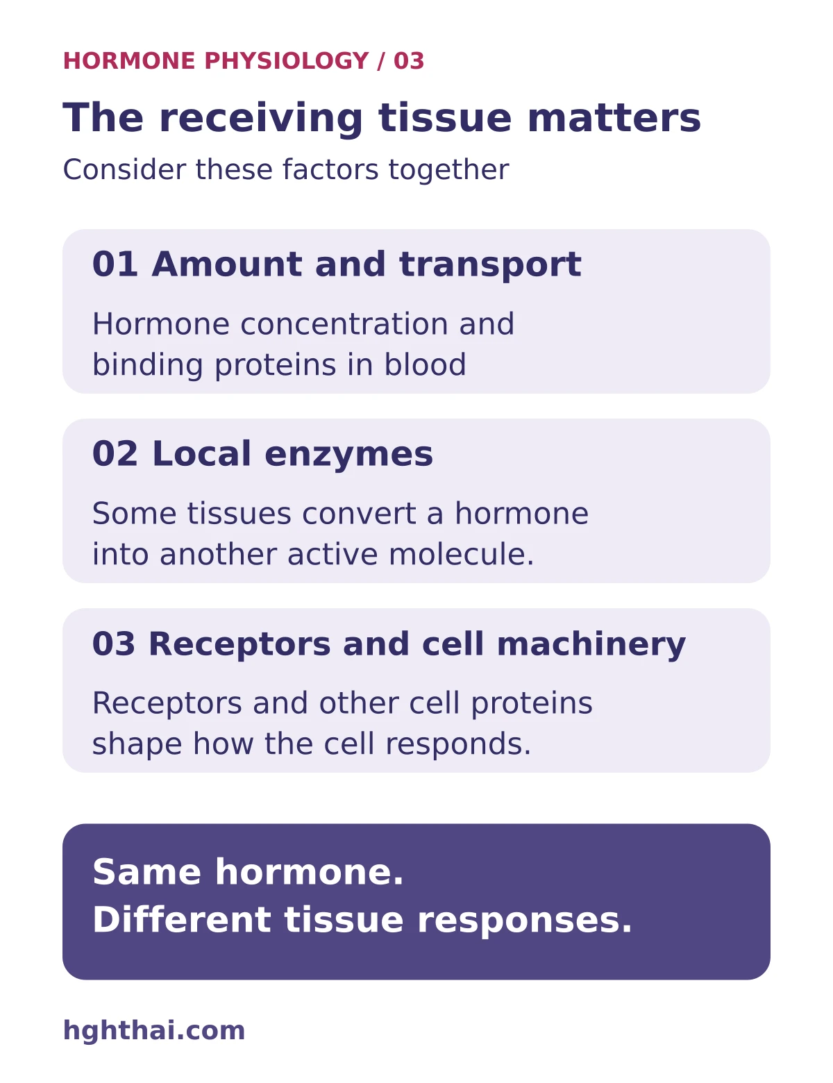Hormone amount and transport, local enzymes and the receiving cell’s receptors together shape the response.